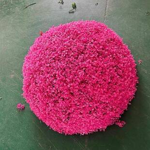 户外井盖遮挡装饰空兰心仿真米兰大仿真米草球黄杨仿真草酒店球商