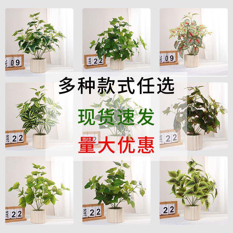 仿真绿植地瓜叶绿萝叶盆栽客厅桌面装饰摆件小把束盆栽假植物造景
