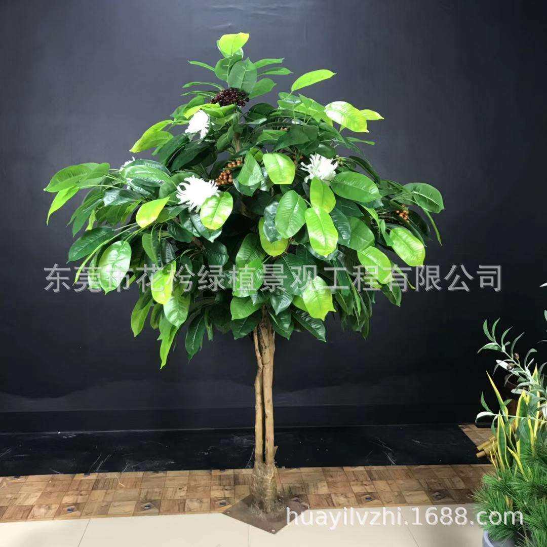 仿真咖啡树盆栽假塑胶咖啡树枝客厅仿真可可树仿真水果树园艺装饰