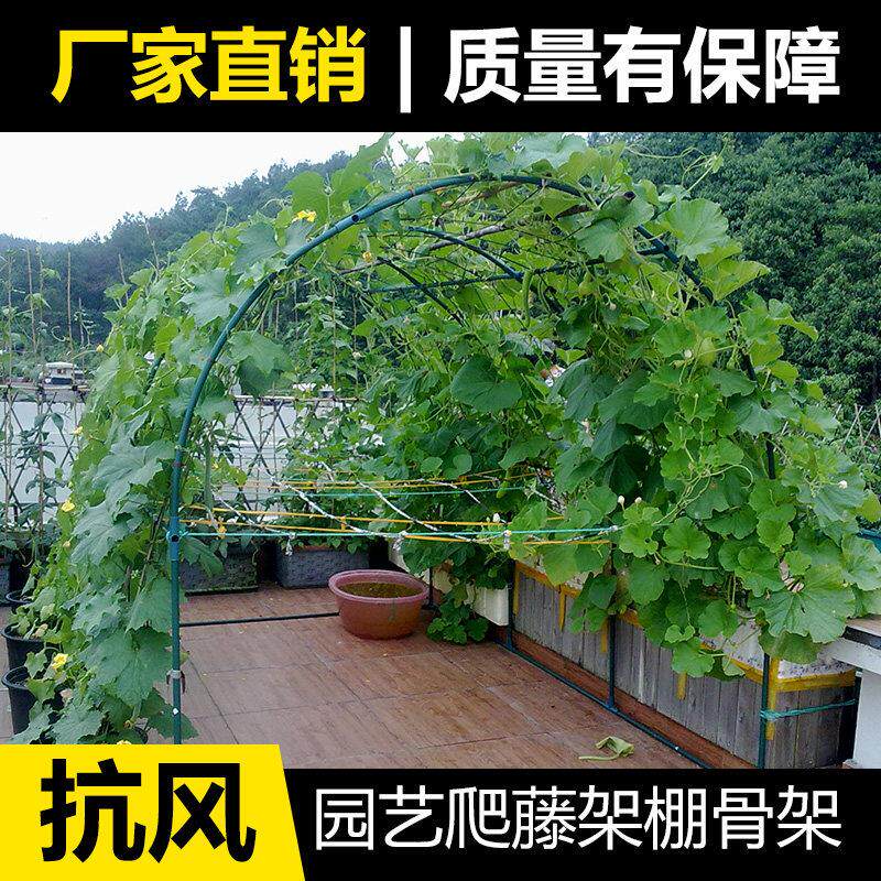 庭院拱门花架户外月季丝瓜葡萄百香果植物爬藤架园艺爬藤花卉支架