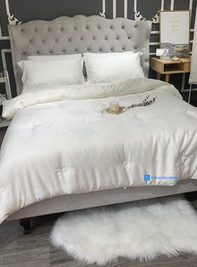 大豆纤维TL被全棉加厚保0暖被子被芯被冬被双1.8米冬季棉心2人0x2