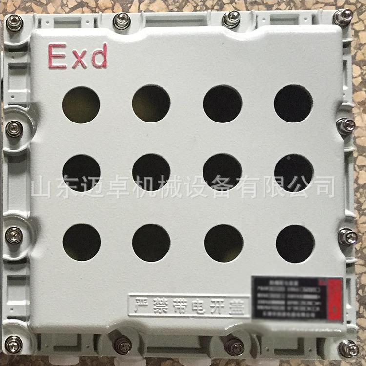 PL箱C控制不成厂定制家/防爆配电箱/套照明控制箱/锈钢动力电气箱