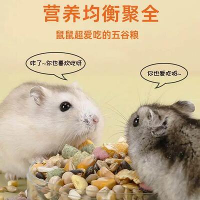 Hamster food snacks with free shipping仓鼠粮食零食海鲜杂粮