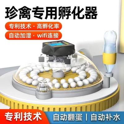 孵化器小型家用全自动孵化机智能小飞碟孵蛋器鹦鹉芦丁鸡鸟蛋孵化