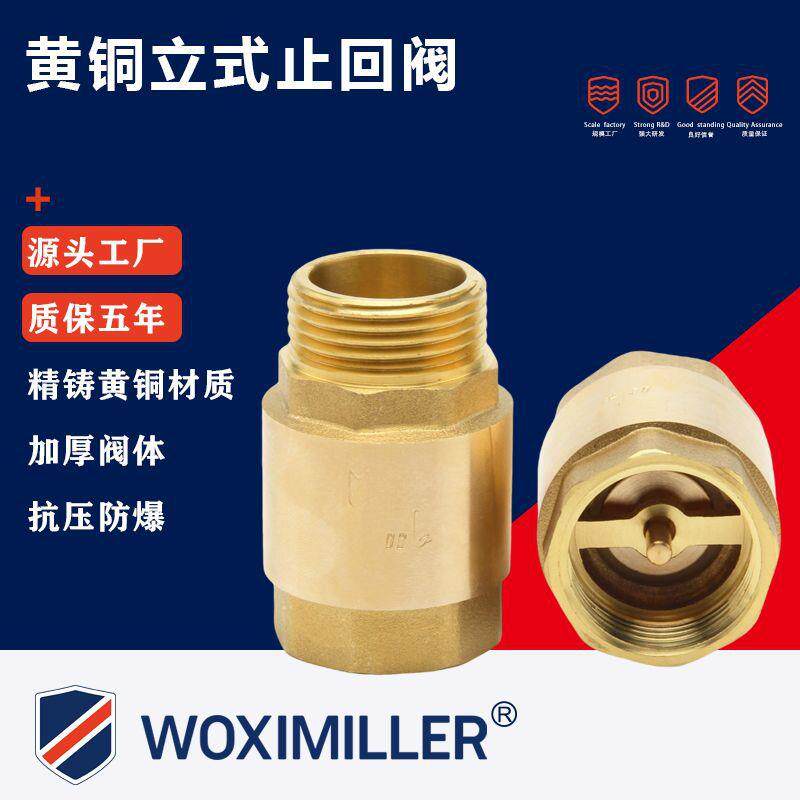 黄铜止回阀铜芯逆止阀升降式单向阀自来水止逆阀4分6分软密封