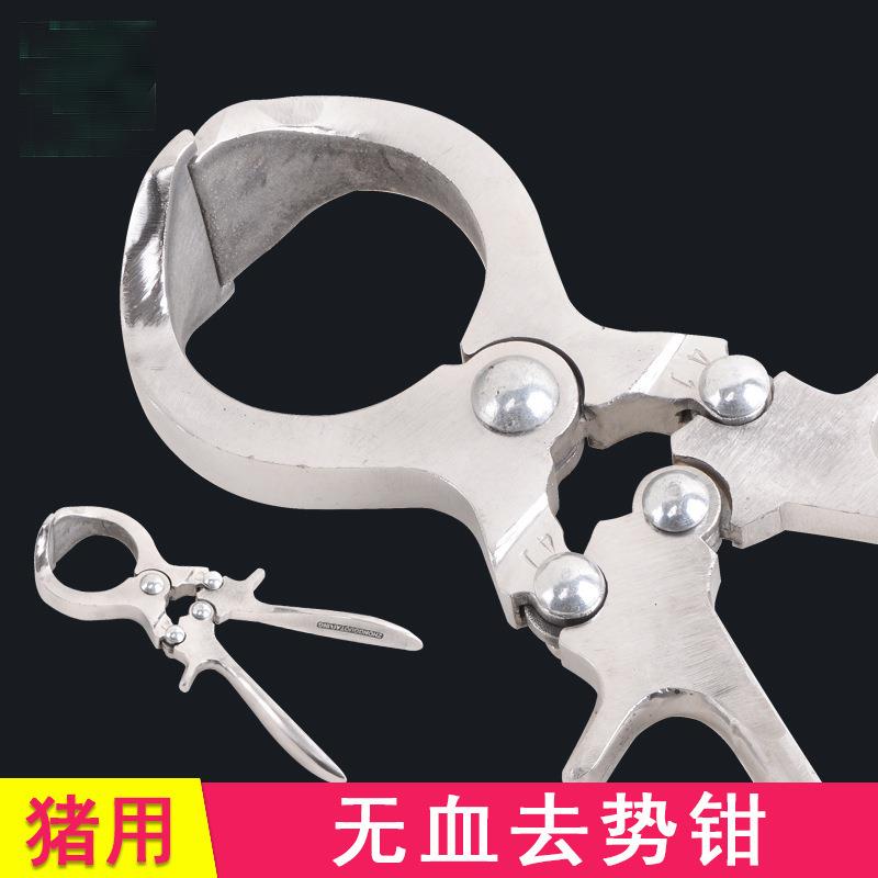 蓝创无血猪用去势钳阉猪用钳子不锈钢材质公猪阉割猪场耗材