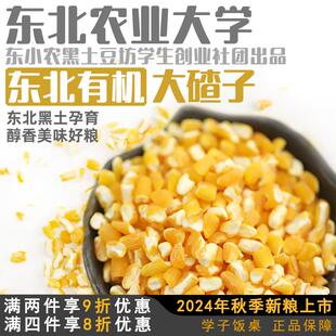 学子饭桌东北有机大碴子农家自产玉米碴子大粒玉米糁粗2024年新货