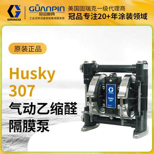 美国husky307隔膜泵 乙缩醛塑料D31211气动双隔膜泵