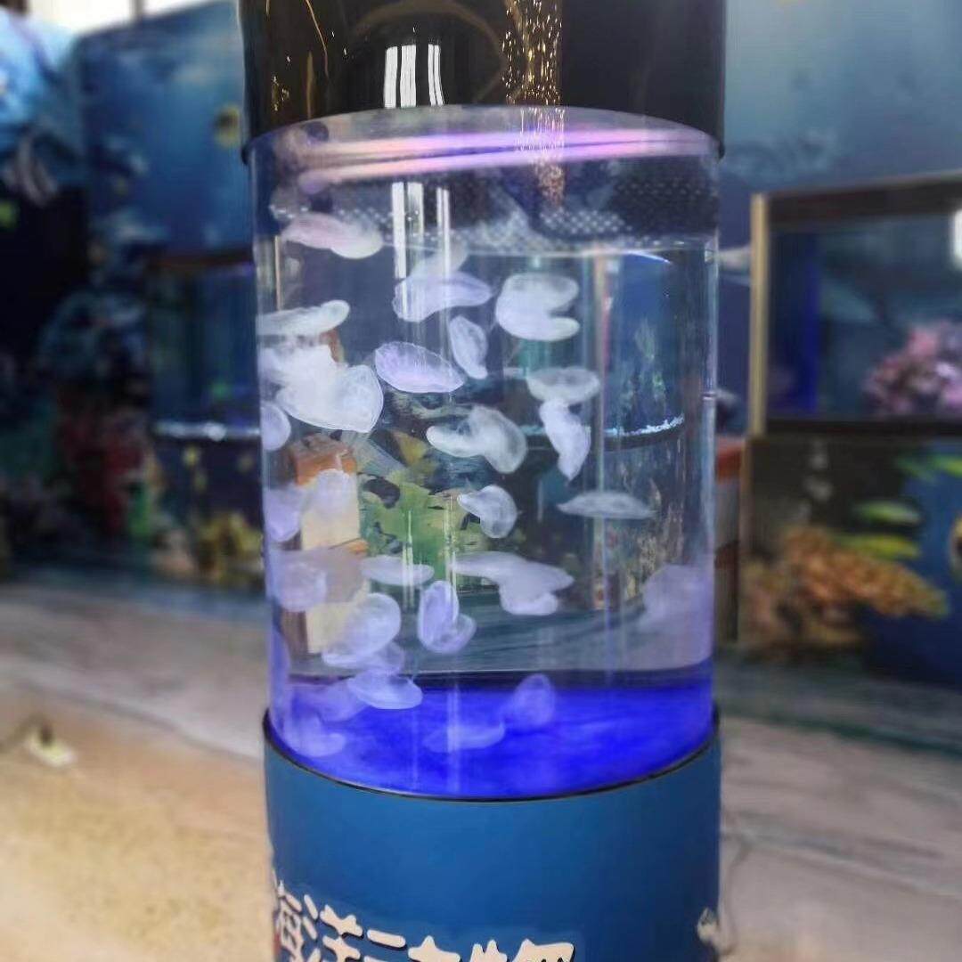 水母缸活体水母水母缸家用水母缸制作水母缸海洋馆水母缸厂家