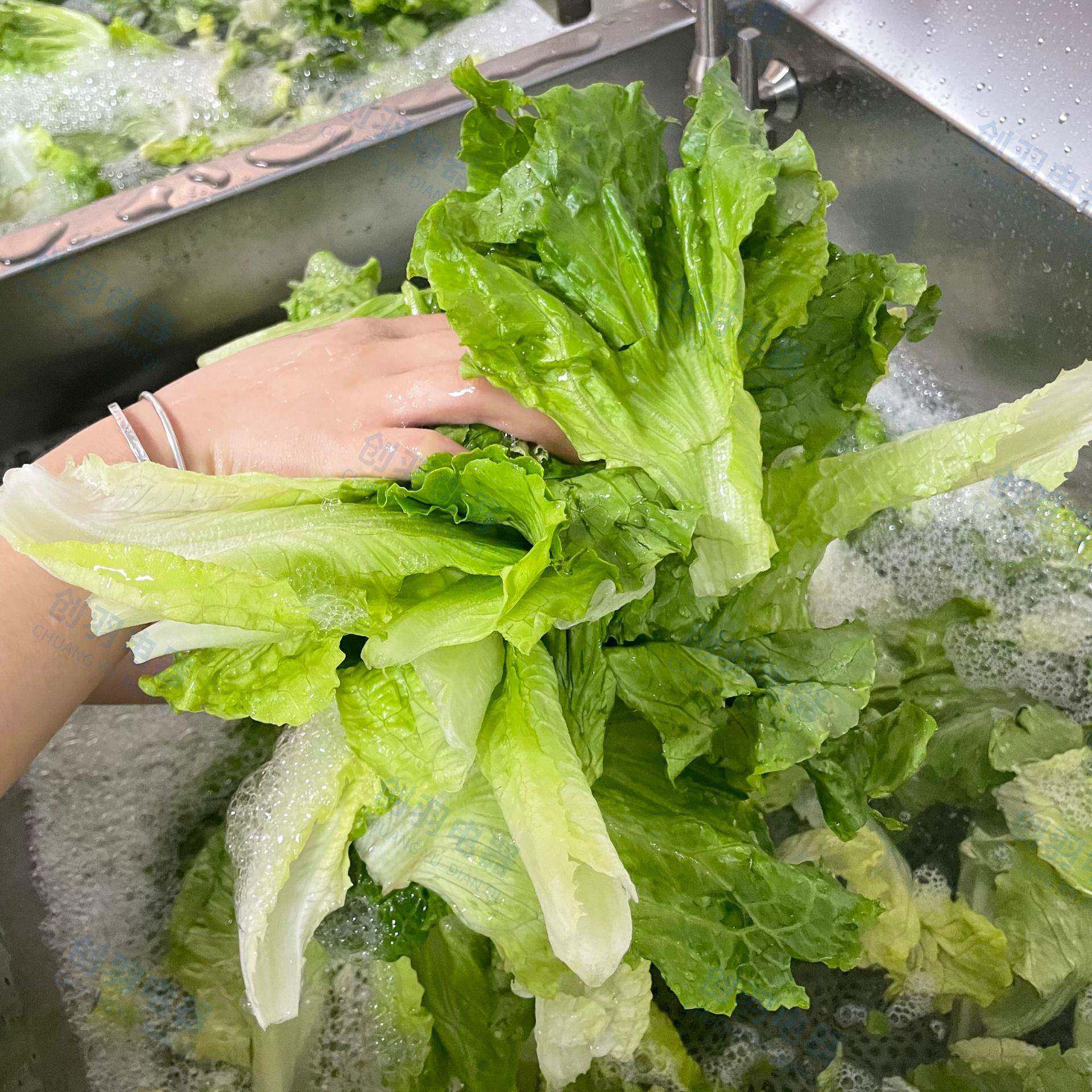 无损生菜单槽双槽洗菜机 全自动不锈钢冬瓜片南瓜片鼓泡式清洗机