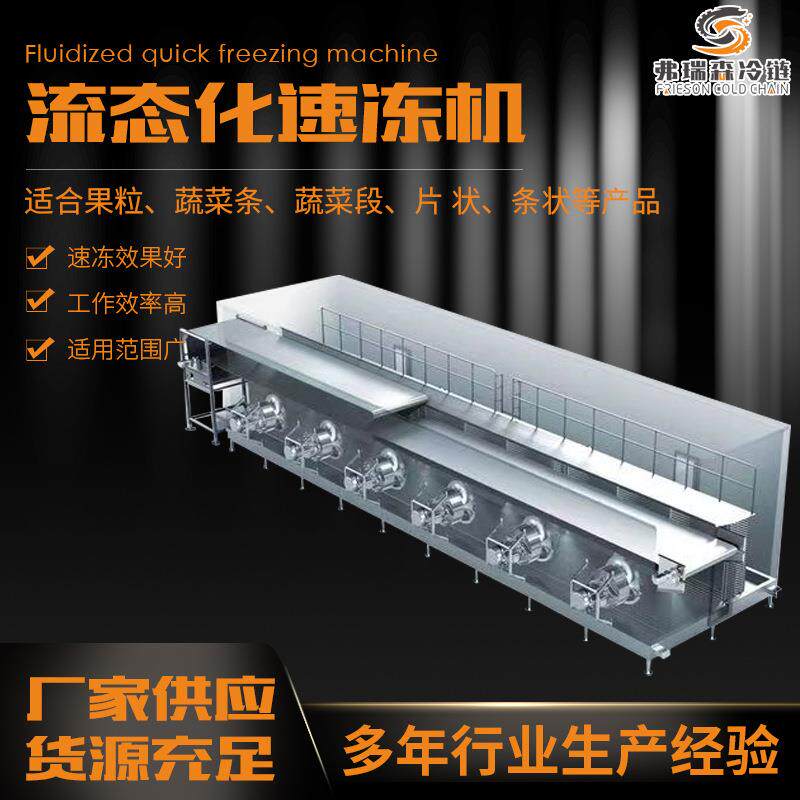 菠萝丁流态化速冻机毛豆玉米粒单冻机食品加工整线设备