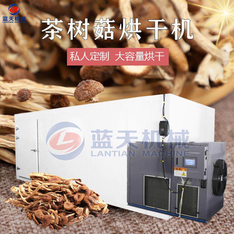 茶树菇烘干机大型茶薪菇茶树菇干货烘烤机空气能菌类热泵烘干房