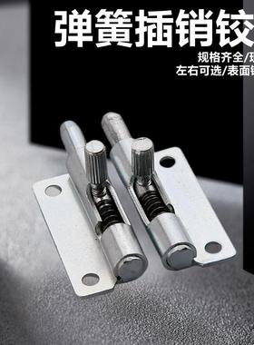 对称弹簧插销铰链 伸缩门铰F6-20-N1A50WR/L弹簧对称铰链