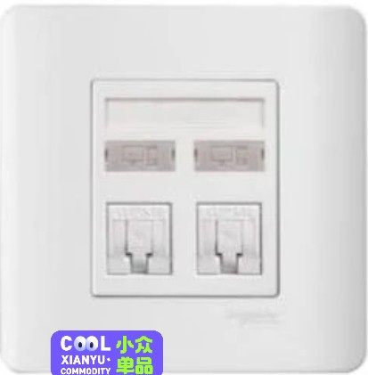 Schneider 施耐德 &ndash; 二位RJ45 八线5e类数据