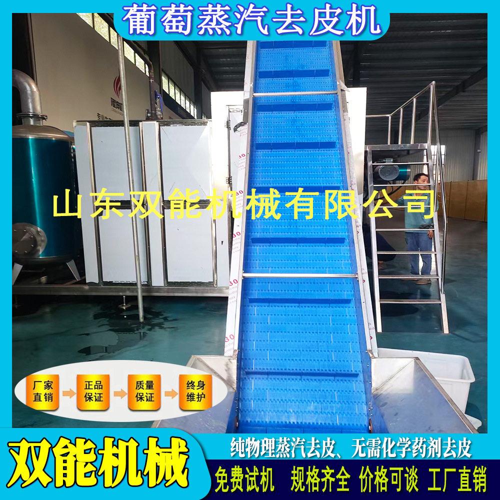 食品级葡萄蒸汽去皮机 葡萄深加工脱皮设备 免费试机按需定制方案