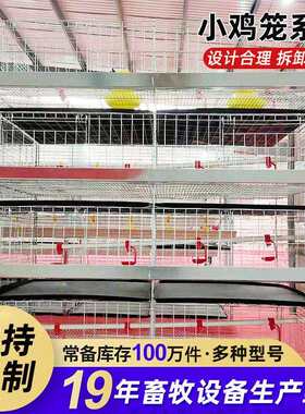 育雏笼加粗加密四层一体小鸡笼立式大型养殖鸡鸭鹅育苗脱温笼厂家