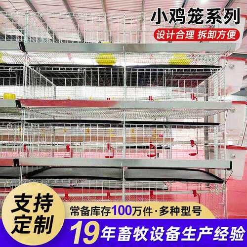 育雏笼加粗加密四层一体小鸡笼立式大型养殖鸡鸭鹅育苗脱温笼厂家