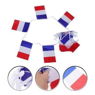 Flag Double Decoration Polyester Stitched Bunting French