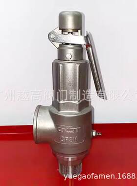 CNST蒸汽弹簧全启安全阀A28H/Y/W-16P/25R/40/64C中国双泰阀门ATA