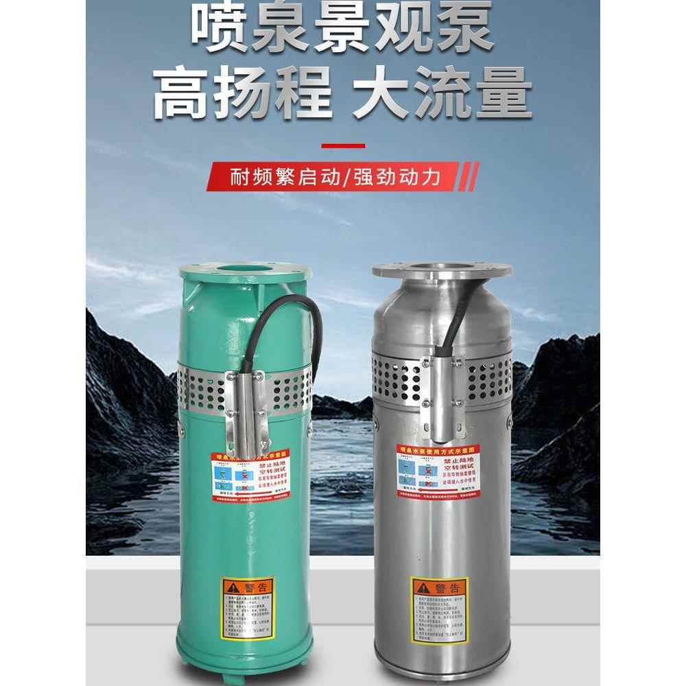喷泉专用水泵不锈钢喷泉泵花园水景Qsp音乐社区景观源厂家