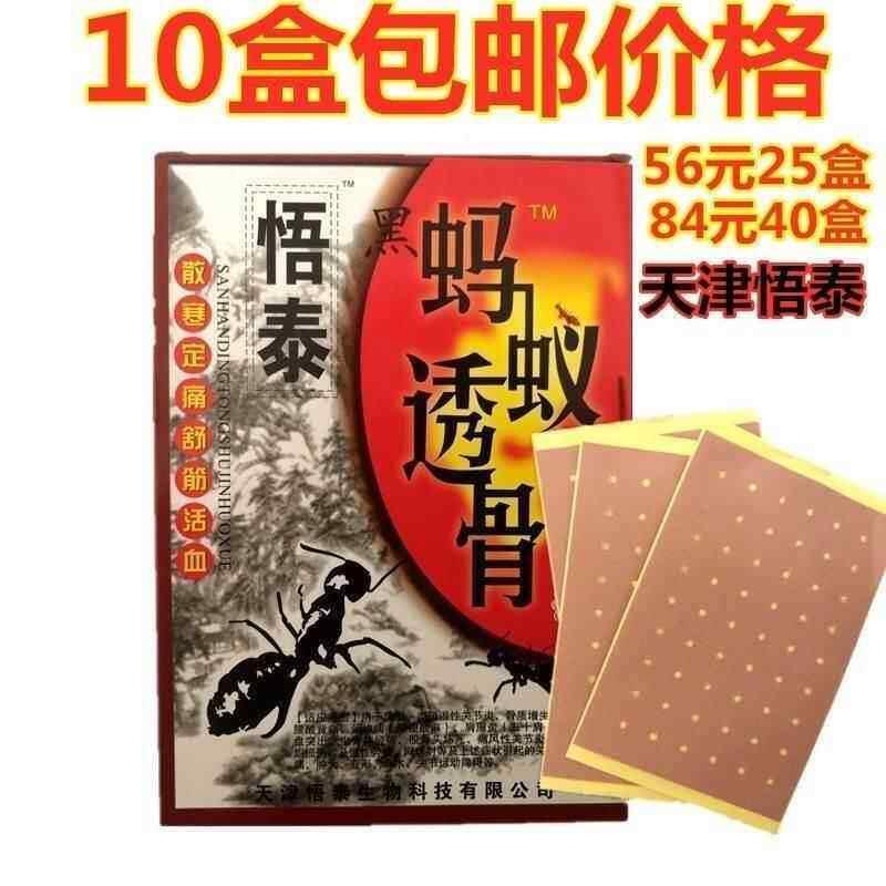 噜噜鼠正品盒包邮天津悟泰蚂蚁筋骨宁透骨贴黑蚂蚁透膏贴舒筋天猫