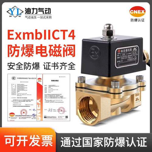 2W防爆电磁阀矿用安全控制阀4分1寸AC220V常开天然气