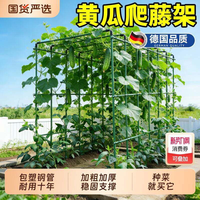 16毫米粗爬藤架黄瓜豆角架植物支撑杆种菜支架