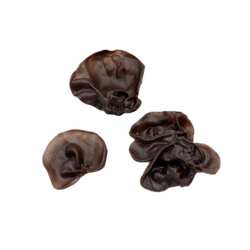 仿真水发、假黑木耳模型蔬菜食品模型酒店菜品摆设装饰摄影道具