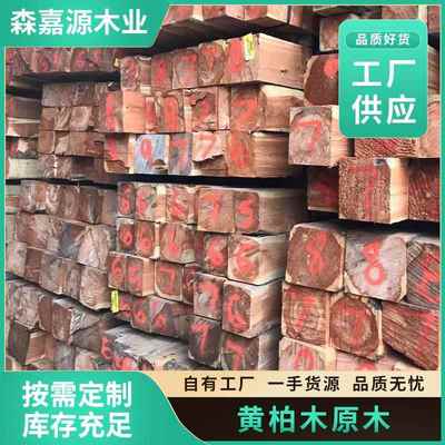 常年大量黄柏木原木木质材料大口径原木 棺木寿材 家具材