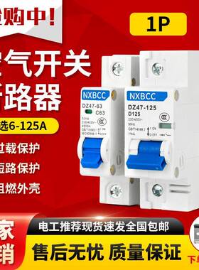 家用空气开关DZ47 1P63A 单P短路小型断路器C45过载空开工厂包邮