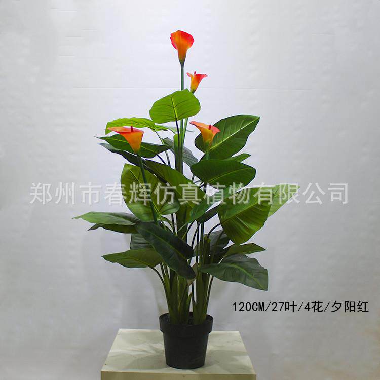 厂家色直供制仿CH-lz018真马蹄莲盆栽仿真马蹄莲树假马蹄莲定玫红