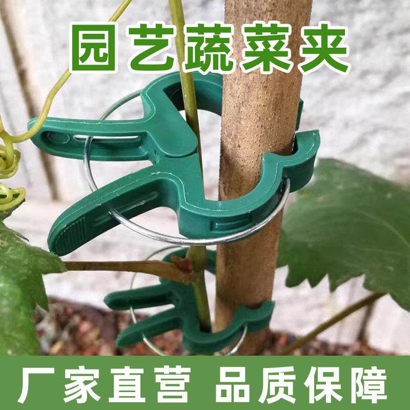 蔬菜夹固定器爬藤吊秧架子藤蔓瓜果扣子绑枝园艺工具固定攀爬番茄图片