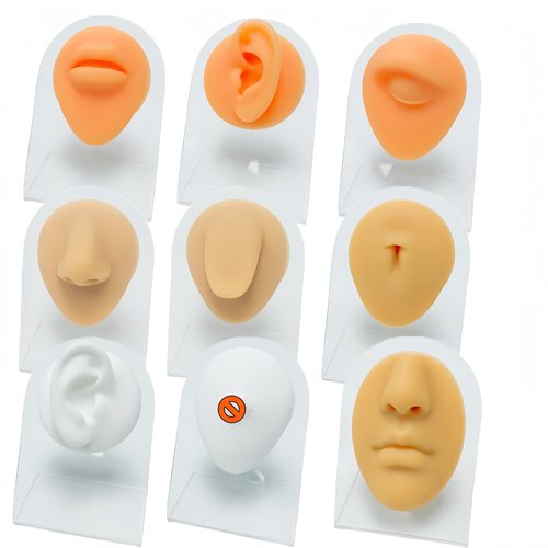 人体硅胶五官模型穿孔练习模型