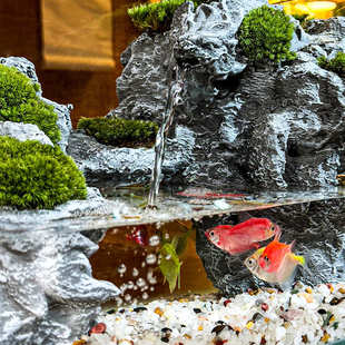 水族箱造景全套家用客厅鱼缸桌面景观生态真绿植办公山成品中式