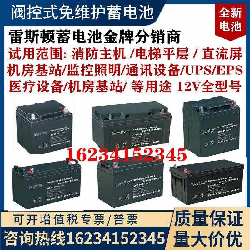 Resden雷斯顿蓄电池6FM-100机房12V100AH7/17/24A38/40/65AHUPS用