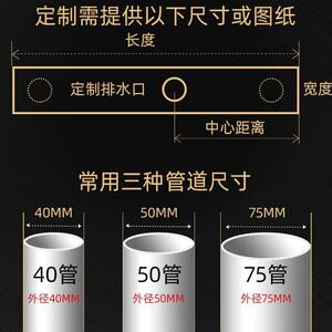 德国莱博生j5425勒偏芯长地钢漏防臭卫间淋浴房长方形条304不锈68