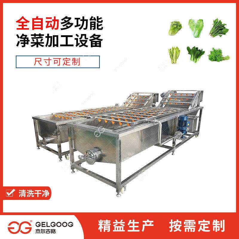 气泡喷淋净菜加工机器 自动洗荠荠菜蔬菜生产线机械 茼蒿清洗设备