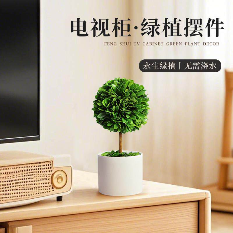 电视柜摆件永生绿植盆栽客厅桌面家居饰品玄关创意简约酒柜装饰品