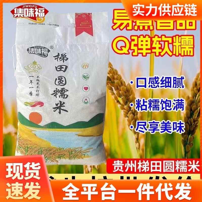 东北圆糯米当季新米五斤装贵州梯田新米农家晚稻糯米包粽子香甜米