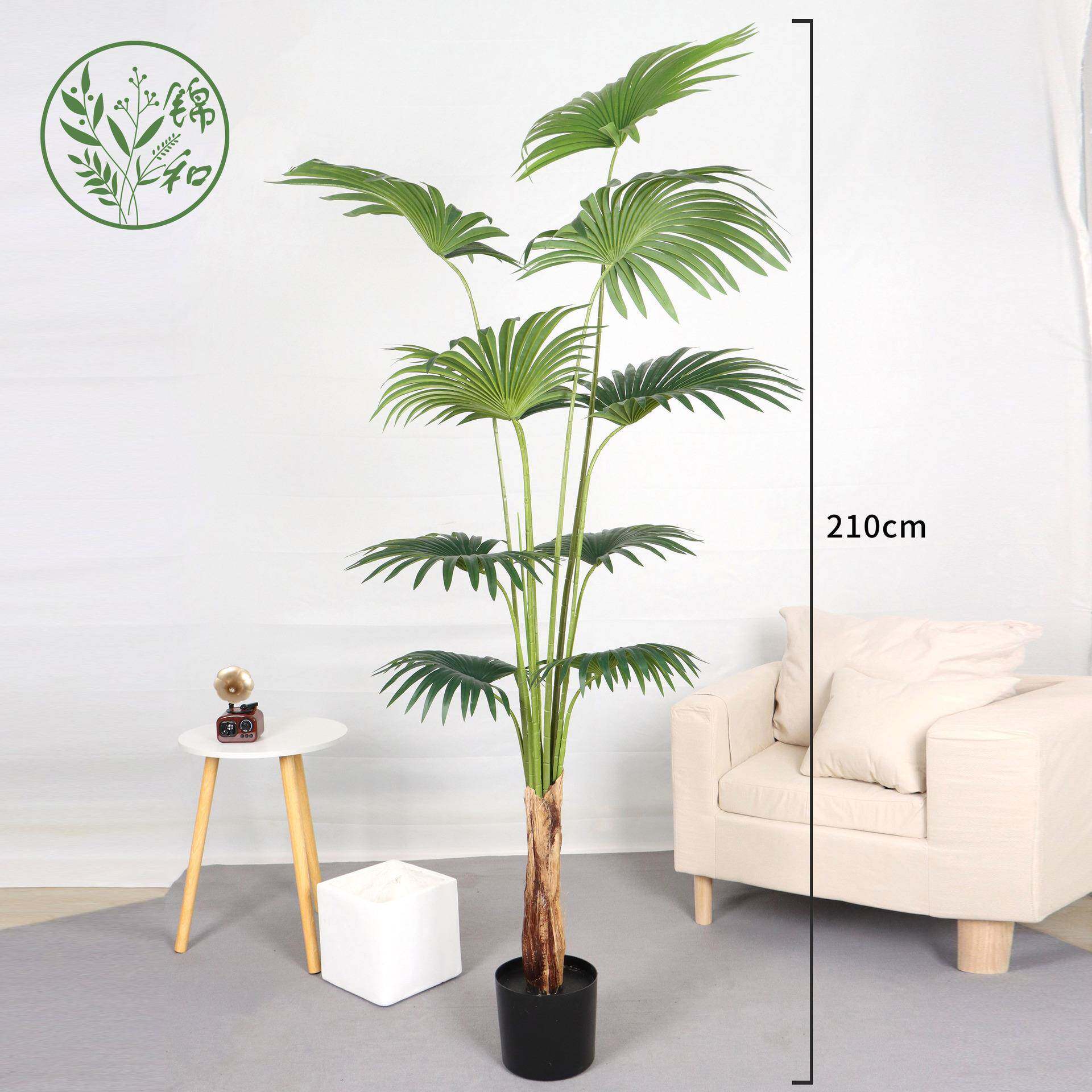 网红仿真加州蒲葵唐棕葵树仿真植物落地客厅室内装饰绿植盆栽造景