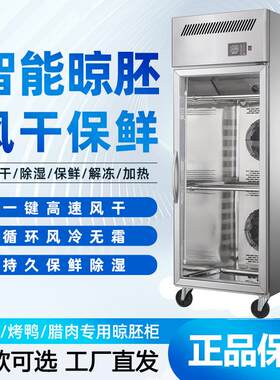 通宝烧鸡烧鸭烧鹅烧腊风干柜乳鸽风冷柜商用无霜除湿烘干冷藏保鲜