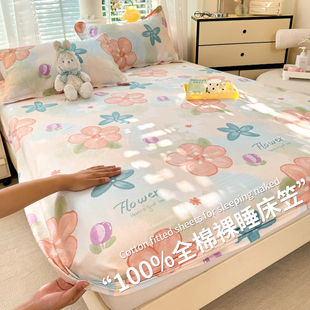 全棉床笠单件纯棉100床罩床垫保护罩防尘罩全包床套2024新款 四季