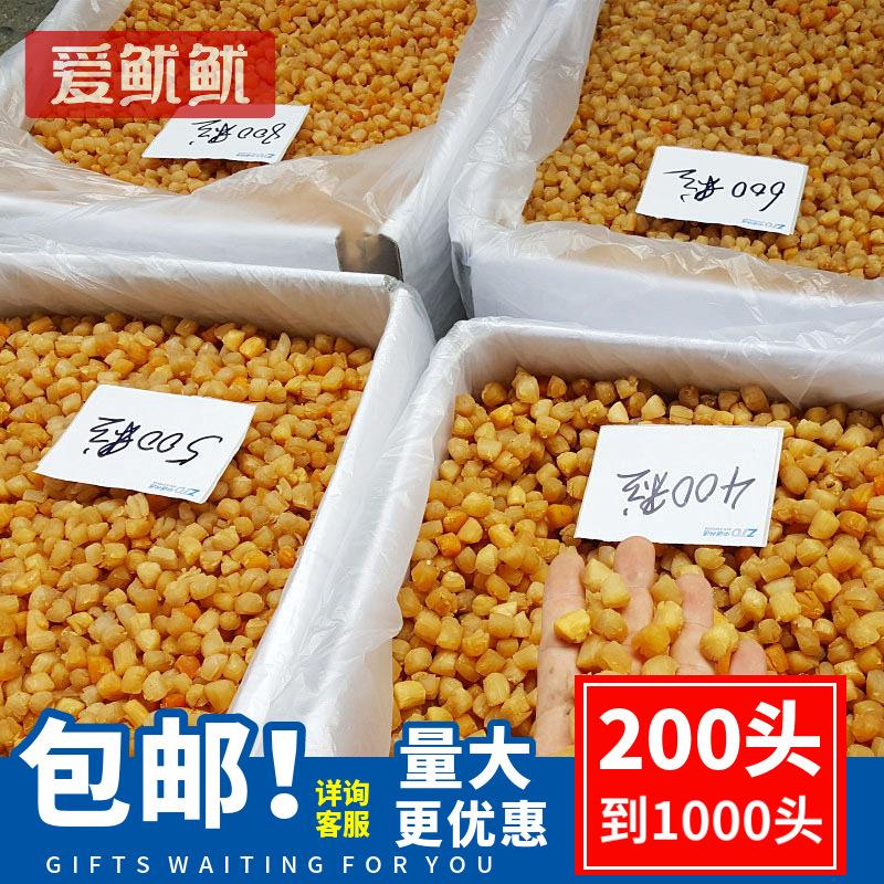 广西北海 干贝瑶柱淡干200头350头400头生晒海鲜干货500g煲粥