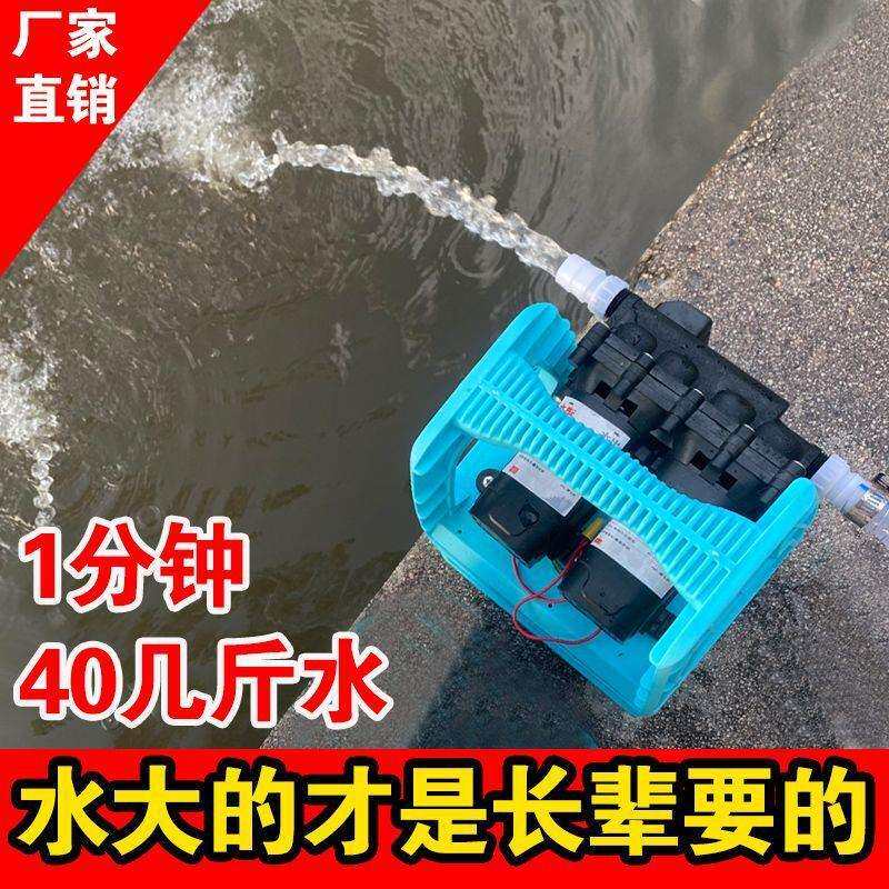 充电式大流量水泵浇菜农用灌溉家用自吸泵12v21v大功率抽水机其他