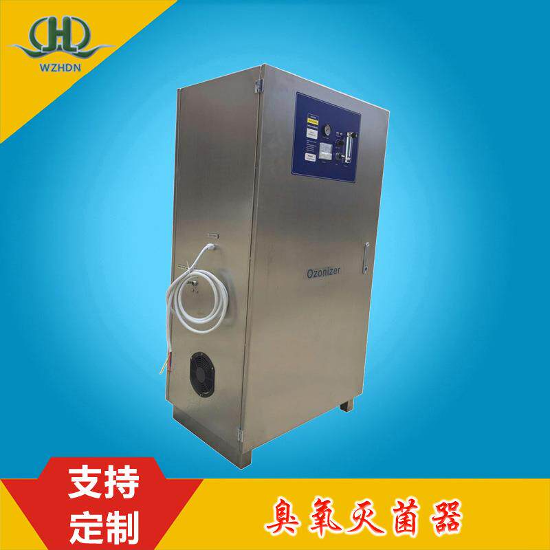 温州海德能直销臭氧灭菌机发生器设备时产100克g不锈钢适合饮用水