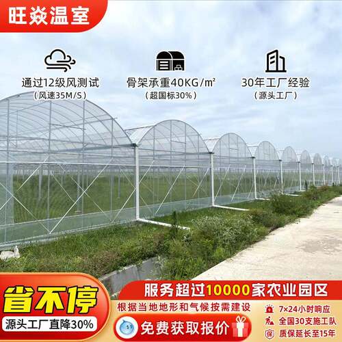 连栋大棚花卉种植暖棚大棚骨架蔬菜种植温室拱形大棚连栋温室大棚