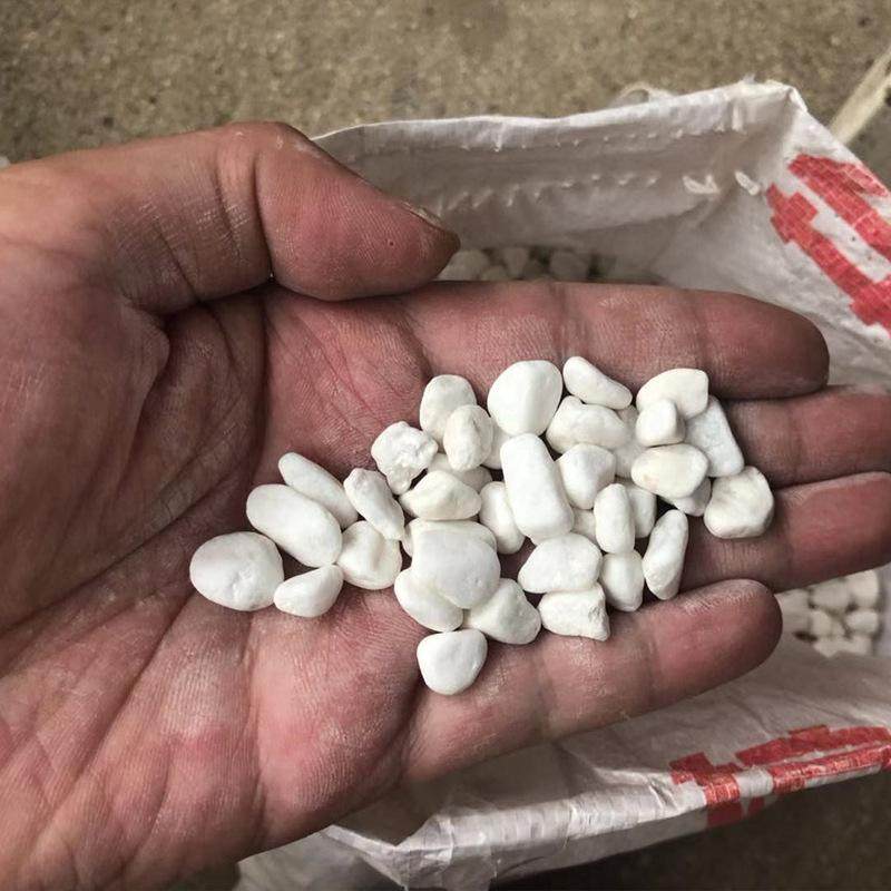 珍珠岩颗粒营养土养花土壤种植土专用拌土生根通用花土花盆透气石,农用物资,育苗/栽培基质,淘宝优惠券,粉丝福利购,淘宝优惠卷