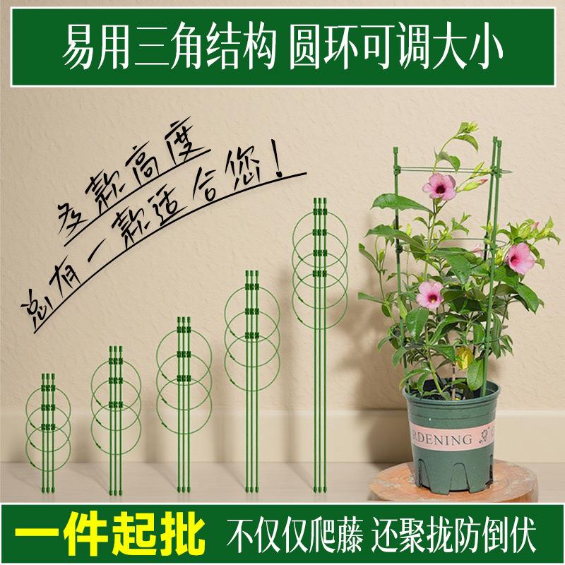 园艺蔷薇月季爬藤架支柱铁线莲牵牛花卉植物花盆固定支架花支架子