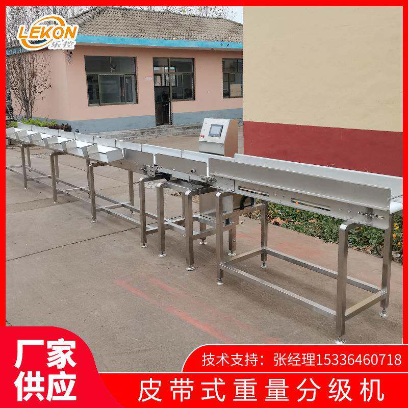 乐控特价皮带重量分选机柚子榴莲自动分选设备哈密瓜大小分级机