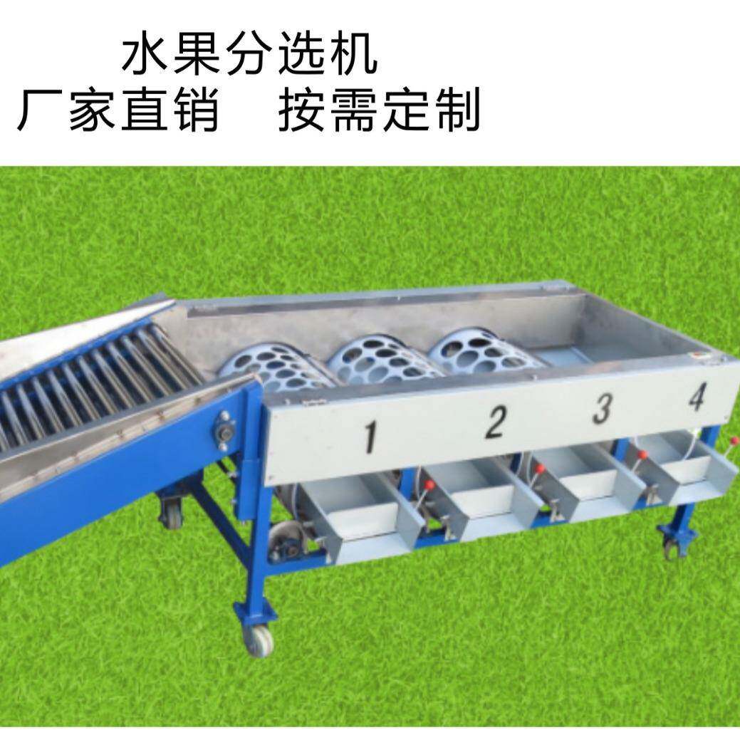 脐橙分级机柑桔分选机小青桔分级机